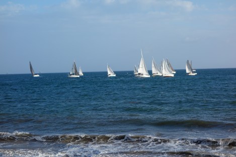 DSC00652
