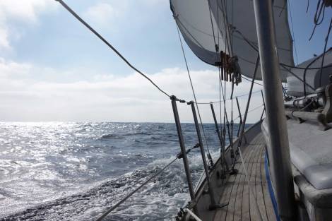 Night and day, Pelican Moon carried all three sails in 13 - 17 knots, smoothly delivering us across the first big "bite" in the Baja peninsula.