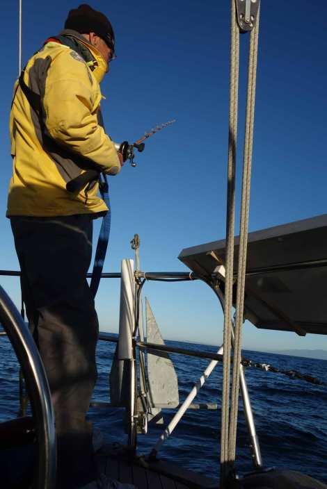 Within 5 minutes, we went from this. . .