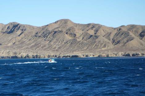 The pangueros have amazing boat handling skills, and seem to go at two speeds: fast, and breakneck. This one was catching some serious air as we entered Turtle Bay.