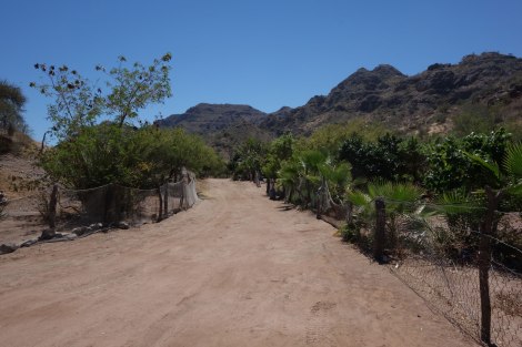 A street in Agua Verde
