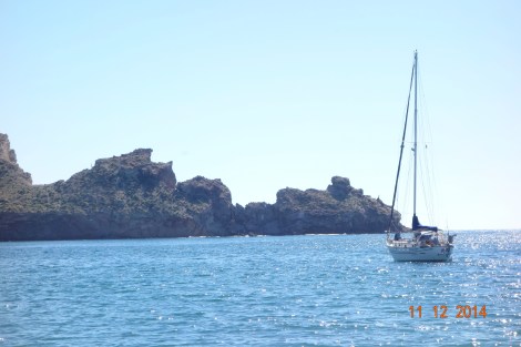 Pelican moon at rest