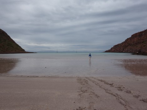 Low tide explorations.