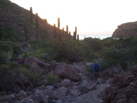 Coming home after a cross-island hike from Ensenada Grande. 