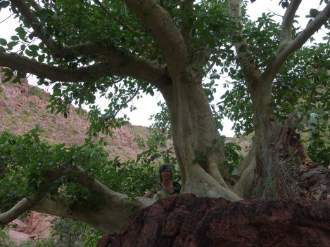 Who wants to visit the spectacular National Park islands with us? This tree nymph did!