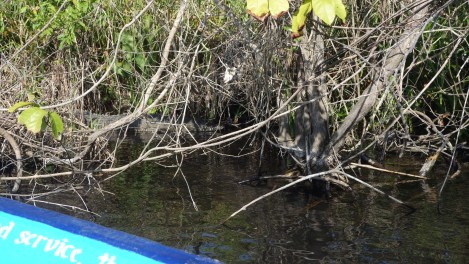 I'll help you. The driver brought us in very close...