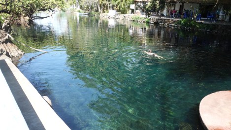 The guide parked the boat at Tovara Sprngs and gave us 20 minutes to take a swim. There is a fence across the water, and Carla went for a swim in the clearest spring water...after she checked for crocodrilos, of course.