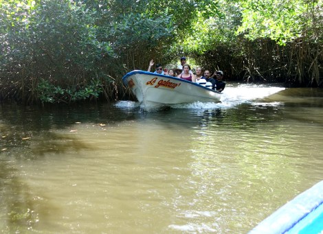Well, that was certainly exciting. On the way back out, we went very fast, and only saw turtles and a few other birds. After the sixth or seventh bat passed us going the other way, we 1) were very glad we went early, and 2) were amused to see they were all taking pictures of us!